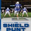 SHIELD PUNT BOOK (PDF) - Image 2